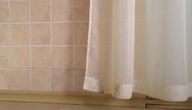  La Grange, TX Mold Removal Pros