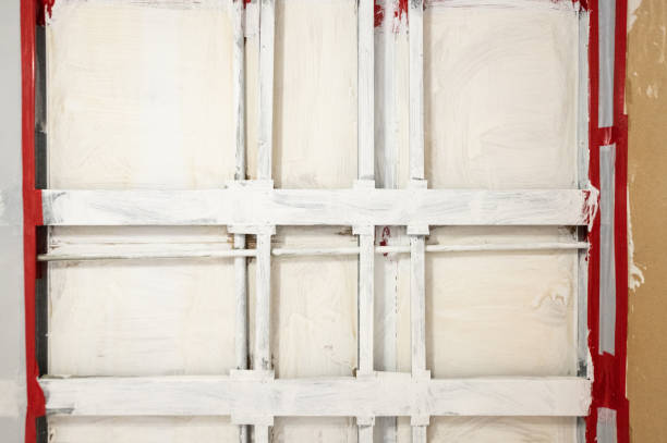 Forensic Mold Investigation in La Grange, TX