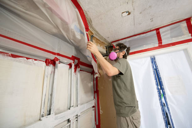 Best Commercial Mold Inspection  in La Grange, TX