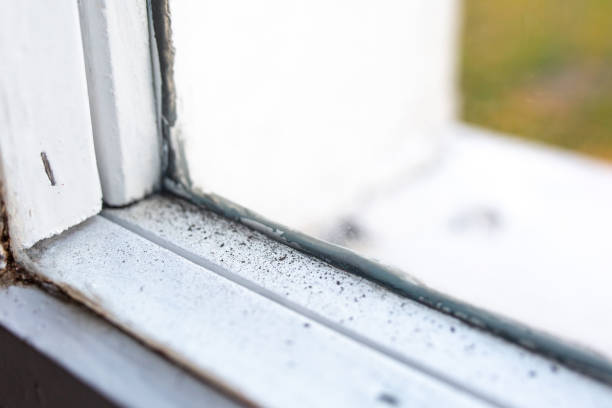 Best Air Quality Testing for Mold Spores  in La Grange, TX