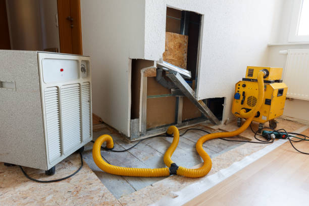 Best Post-Construction Mold Inspection  in La Grange, TX